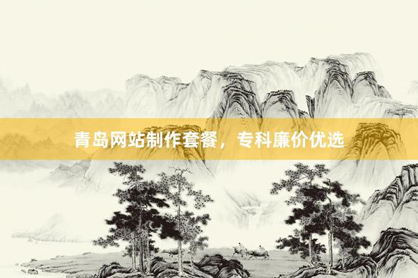 青岛网站制作套餐，专科廉价优选