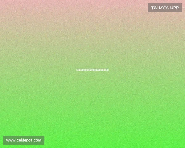 奥巴马致敬凯尔特人：总冠军背后的传奇与坚持