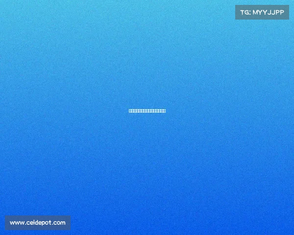 西甲赛季综述：巴萨与皇马的争夺