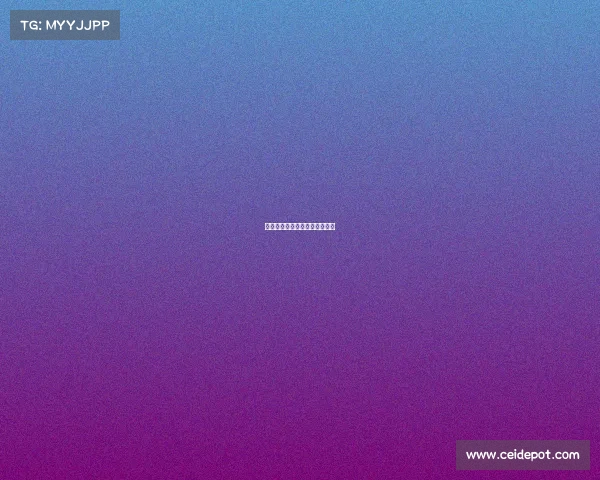 雷霆队激情四射，球迷见证奇迹