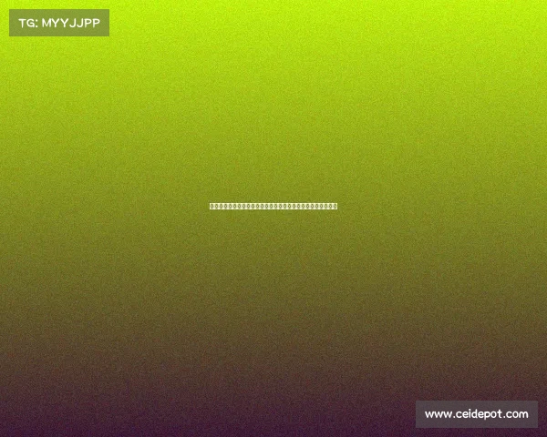 霍勒迪前三战误展现控场能力,关键数据助力球队掌控比赛节奏